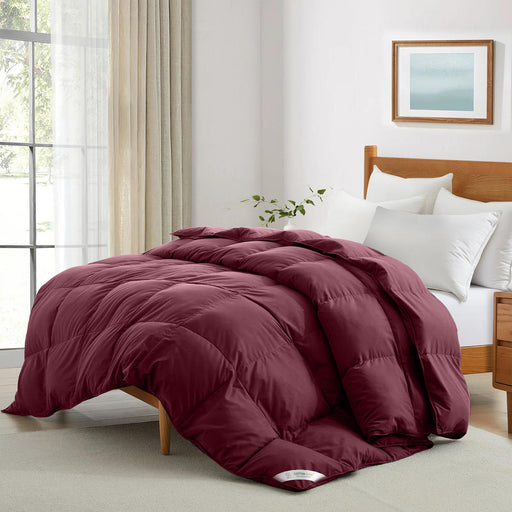 Premium Bordo 220x240 cm All Season High quality Super Soft Comforter 1 Piece - Cotton Home