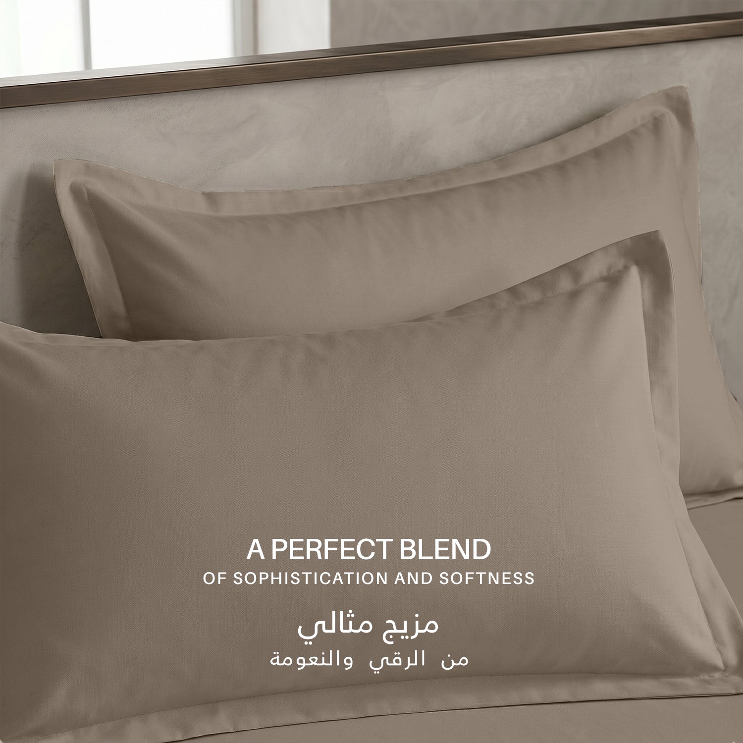 Egyptian Cotton 6 Piece Duvet Cover Set 220x240cm Champagne