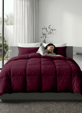 3PC Comforter Set Solid Dyed Microfiber Bordo 220×240cm