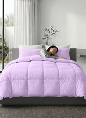 3PC Comforter Set Solid Dyed Microfiber Light Purple 160×220cm