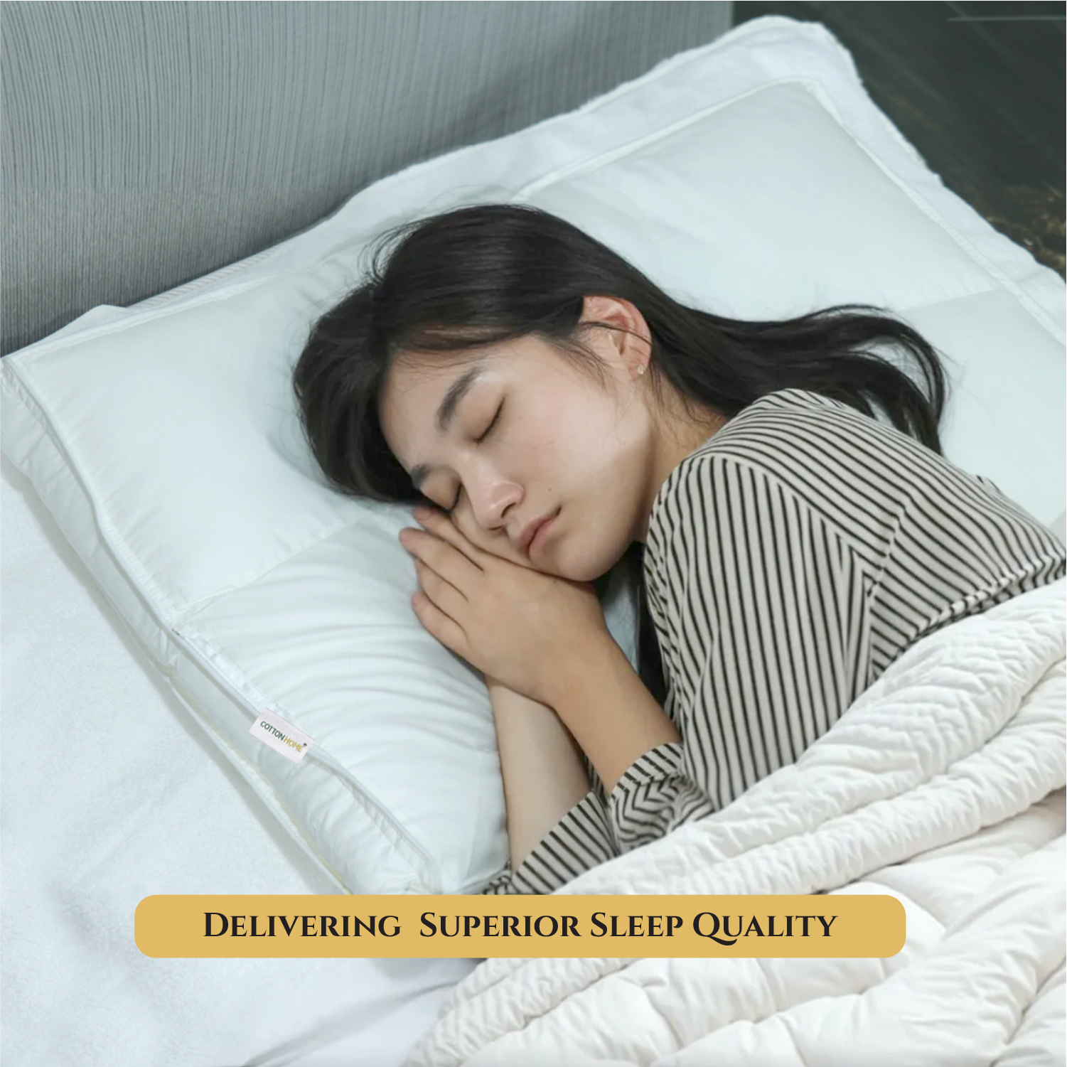 Charlotte Pillow Premium Down proof Cotton Pillow 50x75 cm Medium Soft Support for Neck & Head Pain Relief