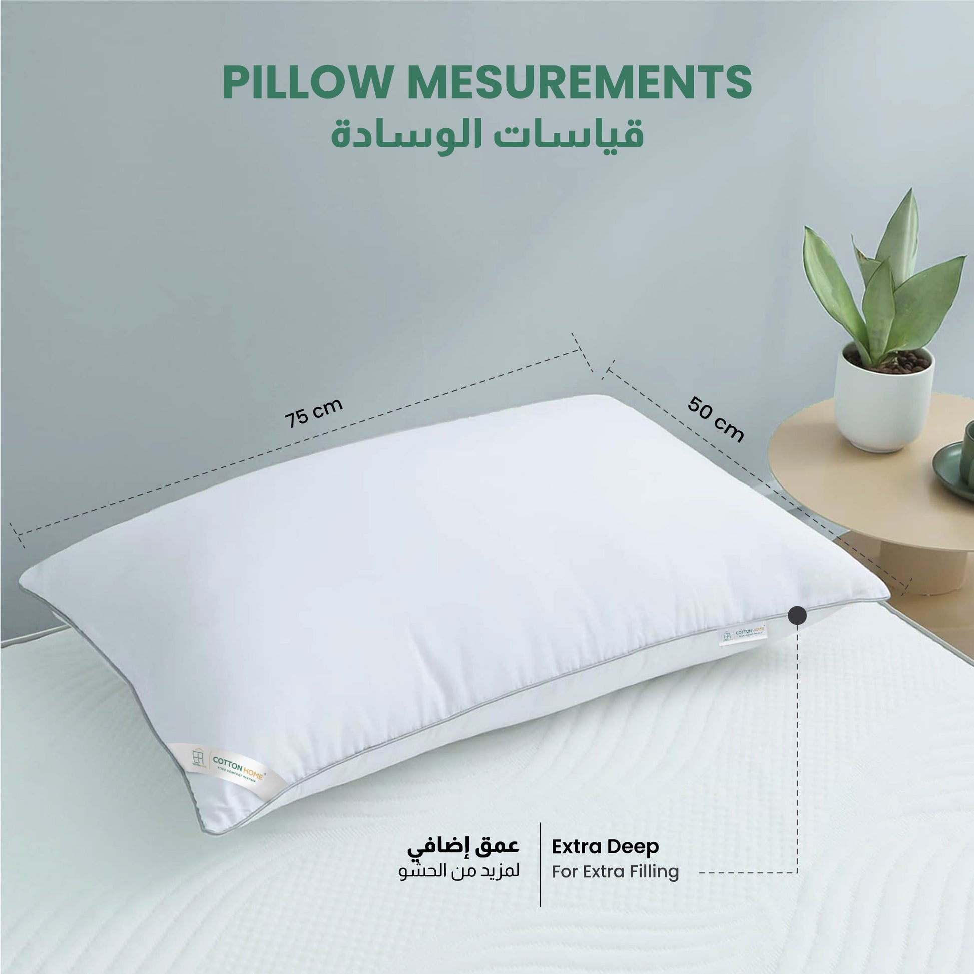 Beverly Side Sleeper Ultra Soft Cotton Pillow with Gray Cord for Ultimate Support 50x75cm 1200grams - Cotton Home