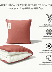 Cushion with blanket set (2 in 1)