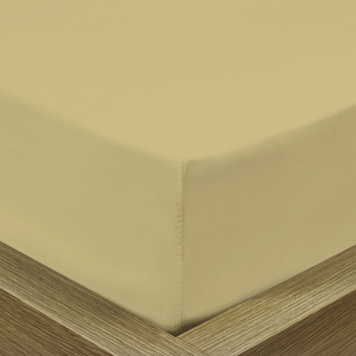 REST 3PCS SET SUPER KING FITTED SHEET SUPER SOFT-MUSTARD - Cotton Home